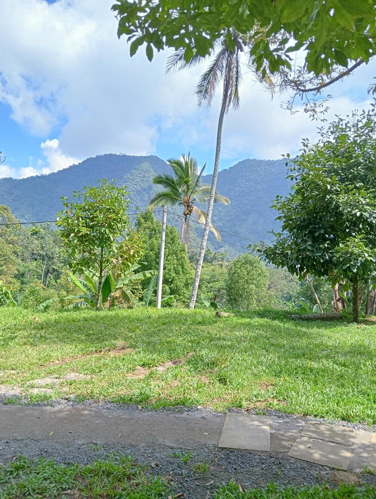 Jepun Homestay Lemukih Singaraja Exterior foto