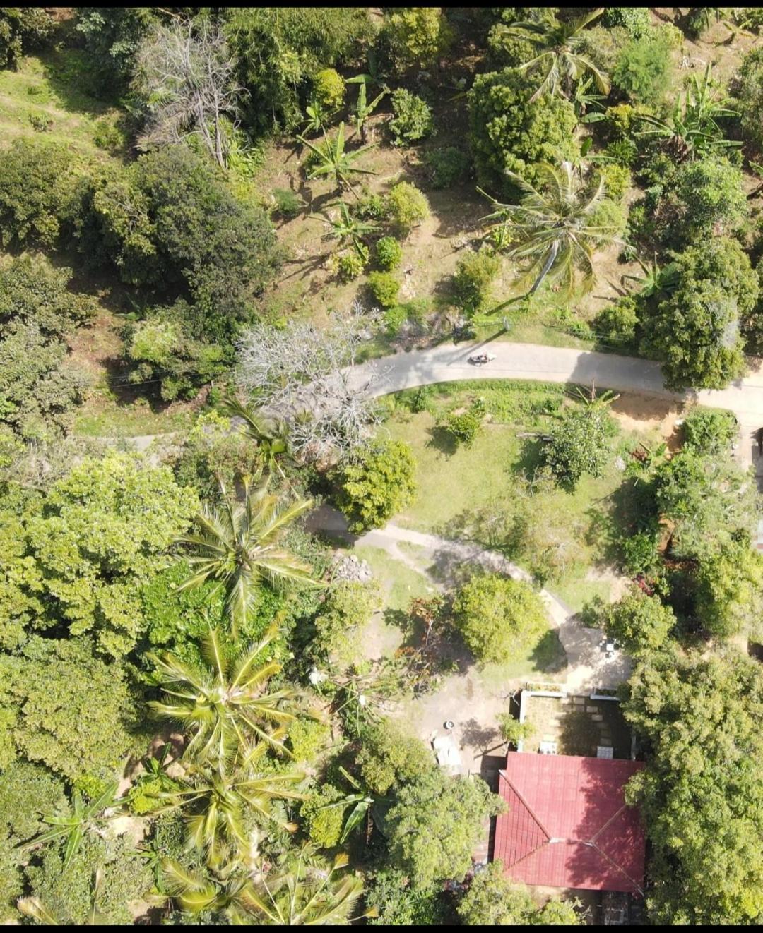 Jepun Homestay Lemukih Singaraja Exterior foto