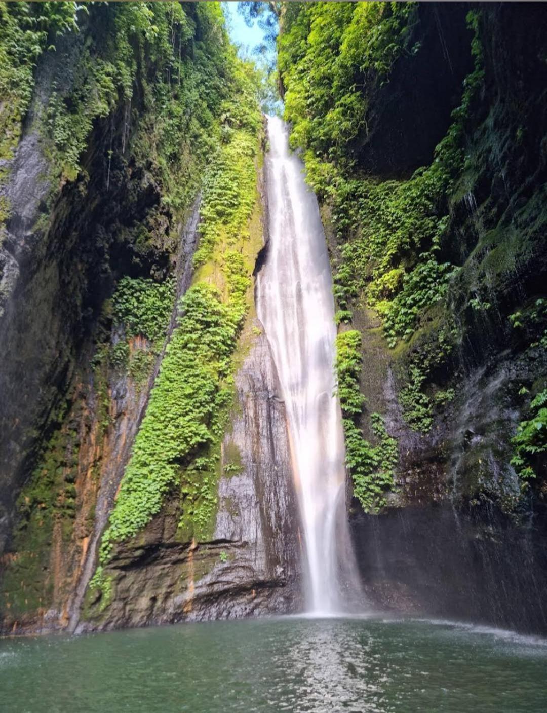 Jepun Homestay Lemukih Singaraja Exterior foto