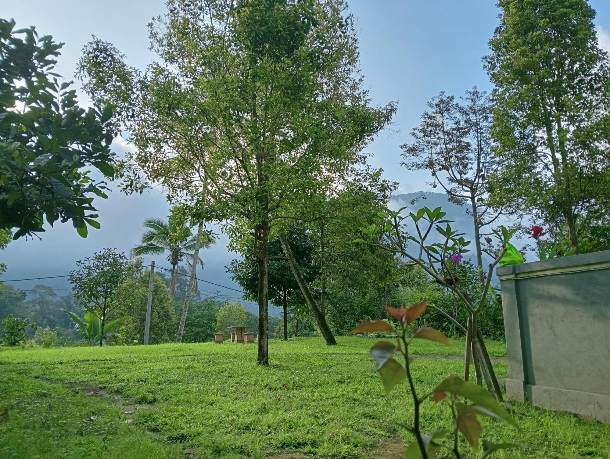 Jepun Homestay Lemukih Singaraja Exterior foto